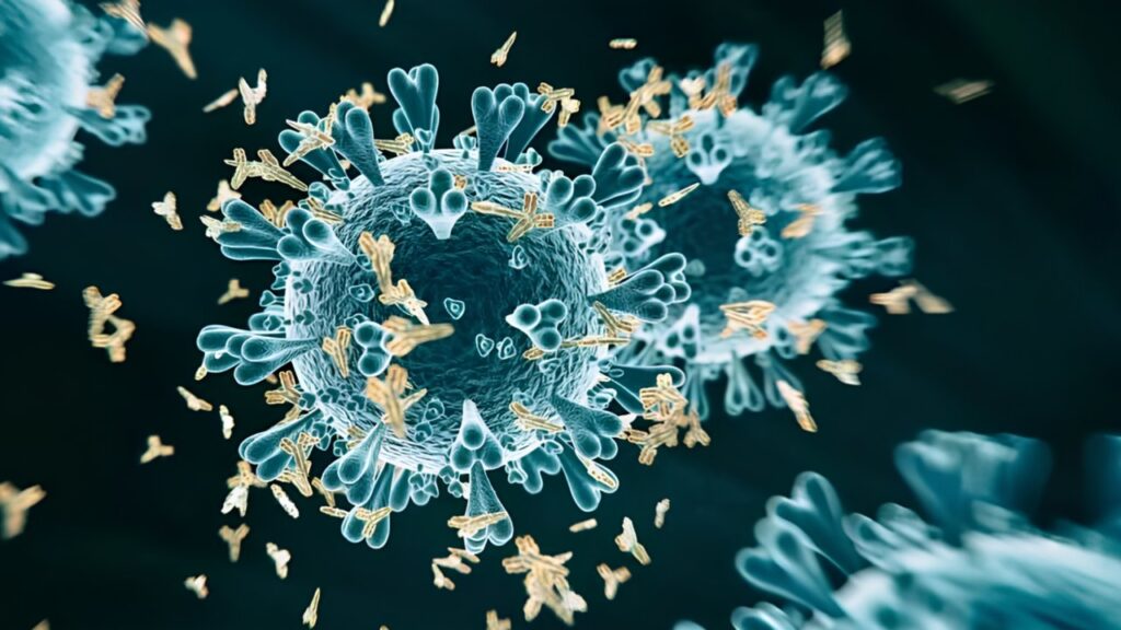 Influenza like illness what you need to know