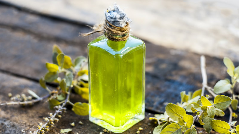 तुलसी के तेल के क्या फायदे