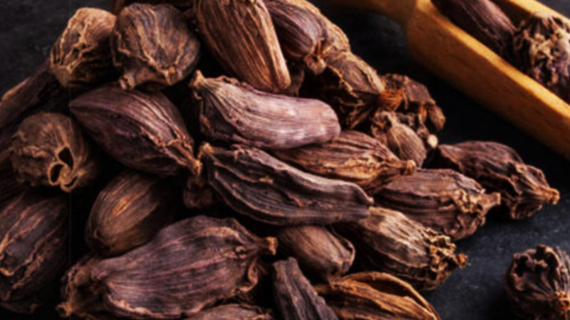 बड़ी इलायची खाने से क्या फायदे होते हैं