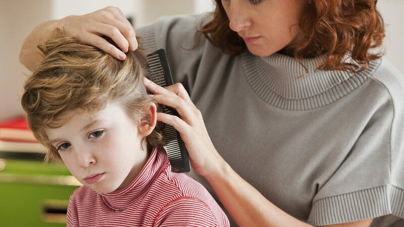 Ayurvedic Home Remedies For Head Lice In Hair