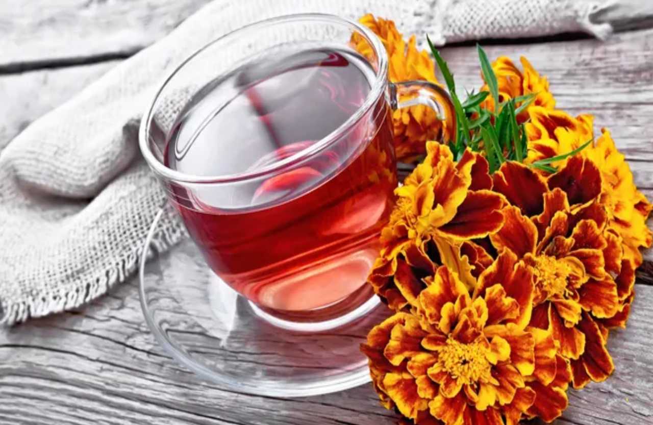 Marigold A Flowers With Many Uses and Health Benefits
