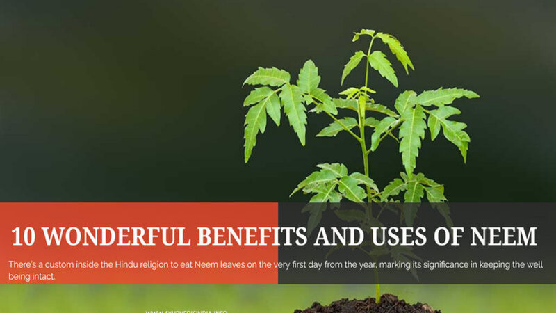 Top 10 Benefit & Uses Of Neem Tree - Azadirachta Indica