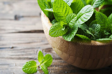 Top 10 Health Benefits of (Pudina) Mint-Leaves