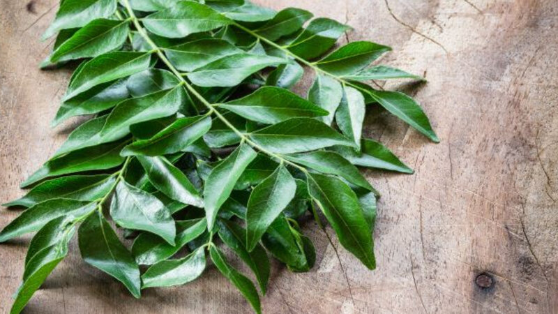 What Are Curry Leaves How To Use Curry Leaves In Cooking