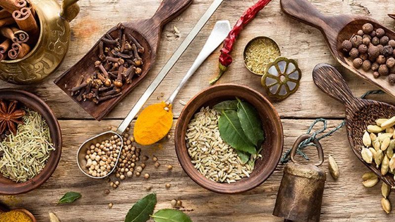 What Are The 8 Main Branches Of Ayurveda