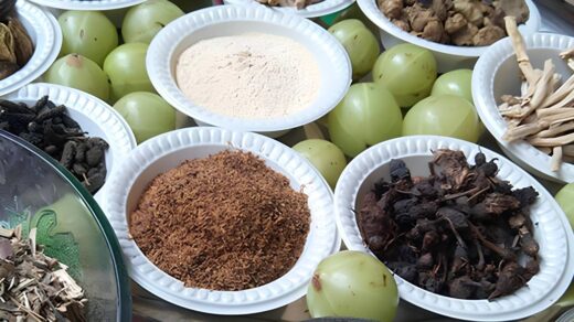 What Is Brahma Rasayana Benefits, Dosage, and Side Effects