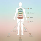 What Is Dhatu Mala? Understanding Tissue Waste Products in Ayurveda